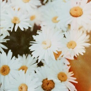 Meet your Posher, Ange